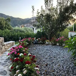  Bed and breakfast La Pergola Italia